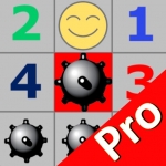 Minesweeper Pro Version