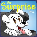 The Surprise (Pro)