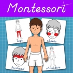 Human Body -Montessori Anatomy
